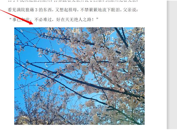 word文本框文字环绕方式有几种,word文字如何设置文本效果