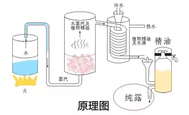 纯露是补水保湿的还是去油的,纯露属于功效型吗