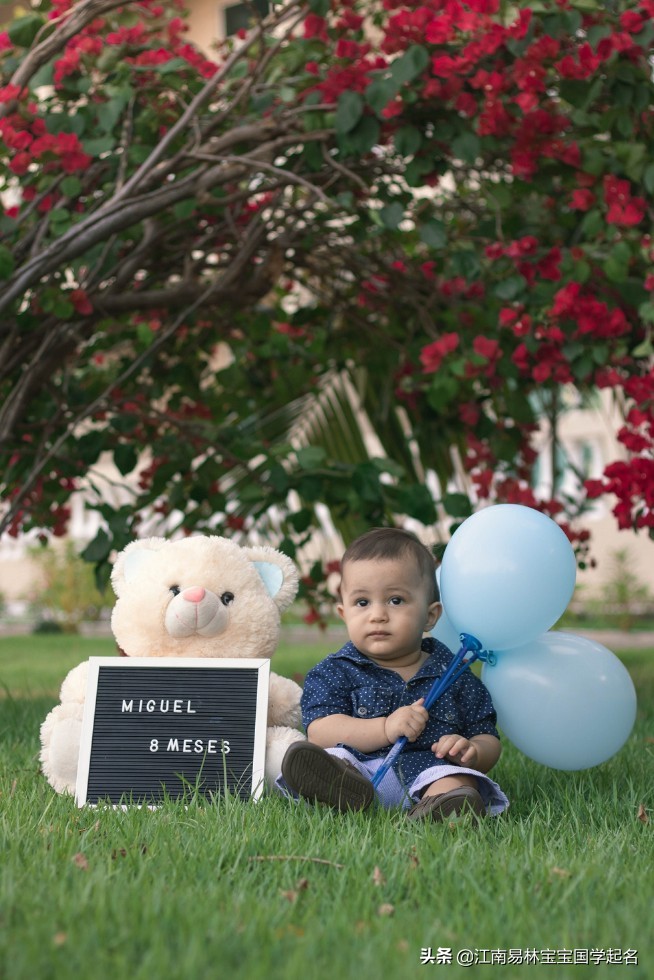 男孩取名最有诗意的名字,起名大全男孩有诗意
