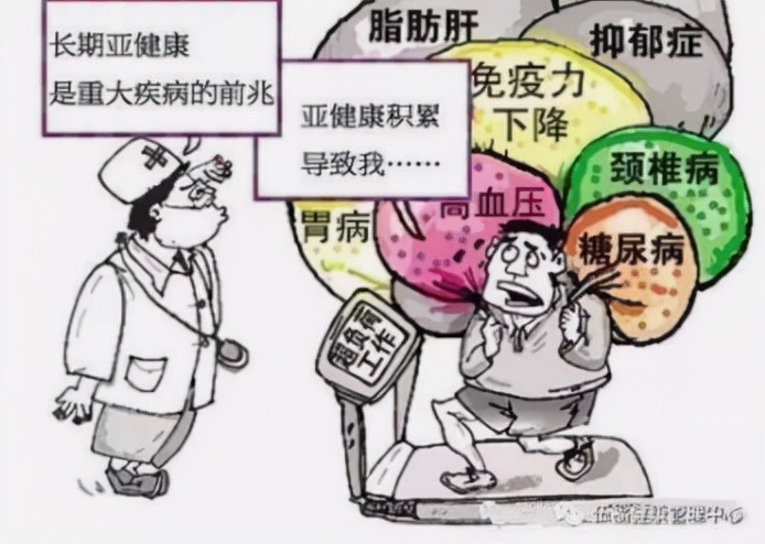 雅尔乐保暖内衣套装9969,雅尔乐内衣秋衣秋裤