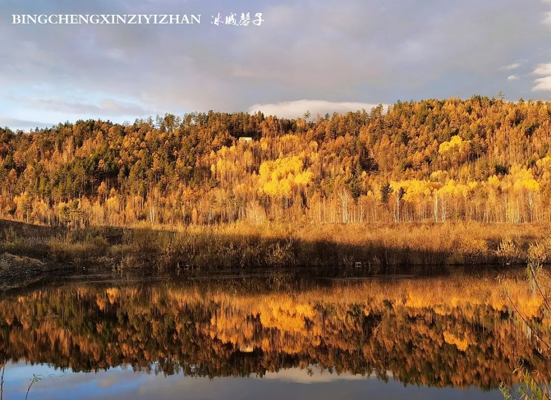深秋的大兴安岭色彩斑斓,大兴安岭的秋天美景