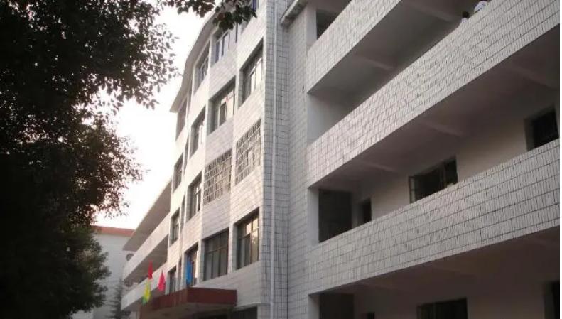 衡阳市八中教育集团成龙成章中学,衡阳市八中成章学校