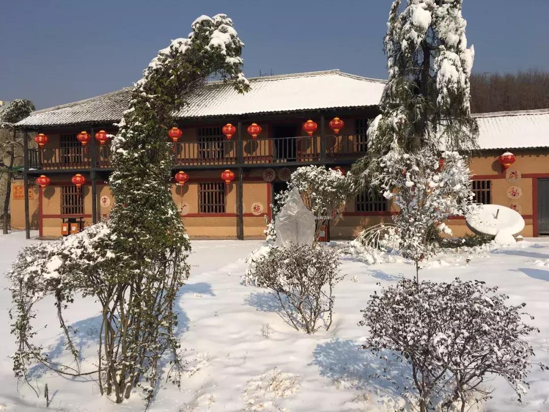 墨子古街观光小火车,中原雪乡晚上