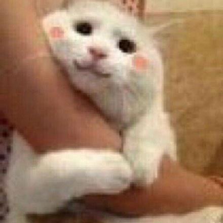 双十一来了这份攻略请收好,双十一必去的十大攻略