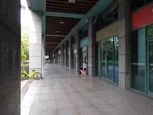 鹿角巷店面租金,一年300万租金