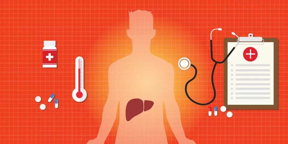 春天养肝的6大原因,春天用什么喝祛湿养肝