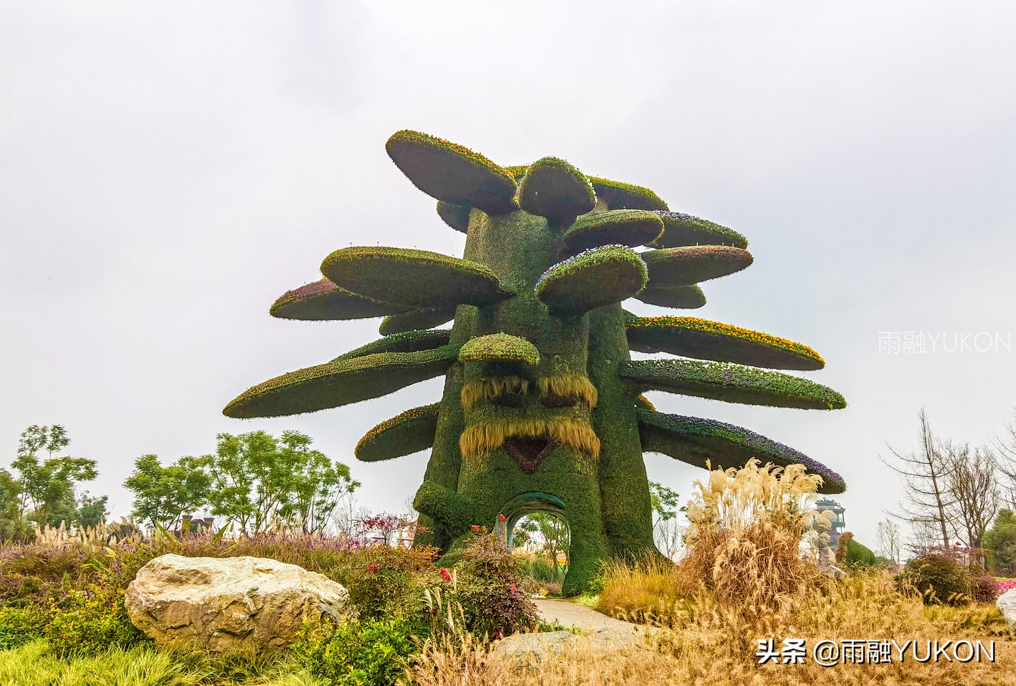 坐拥2项世界纪录的公园:拥有2.2万平米花海,门票仅30元却少有知