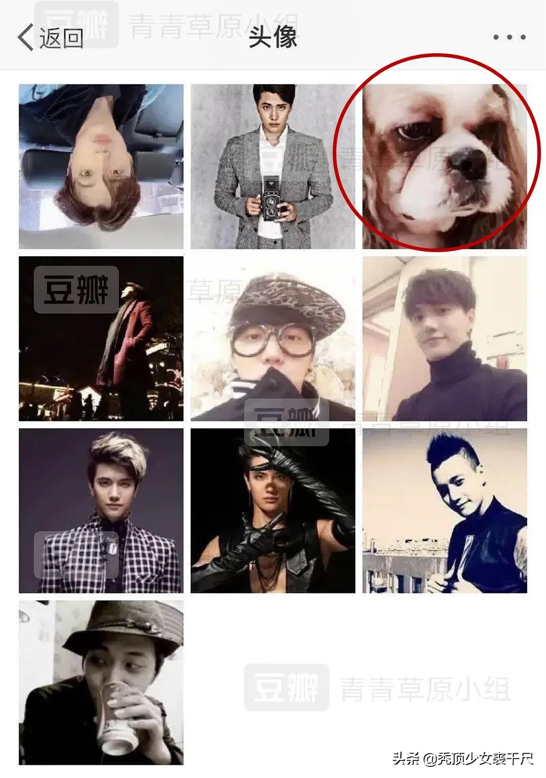 张萌和张檬最后一模一样吗,张萌和张檬你更中意谁呢