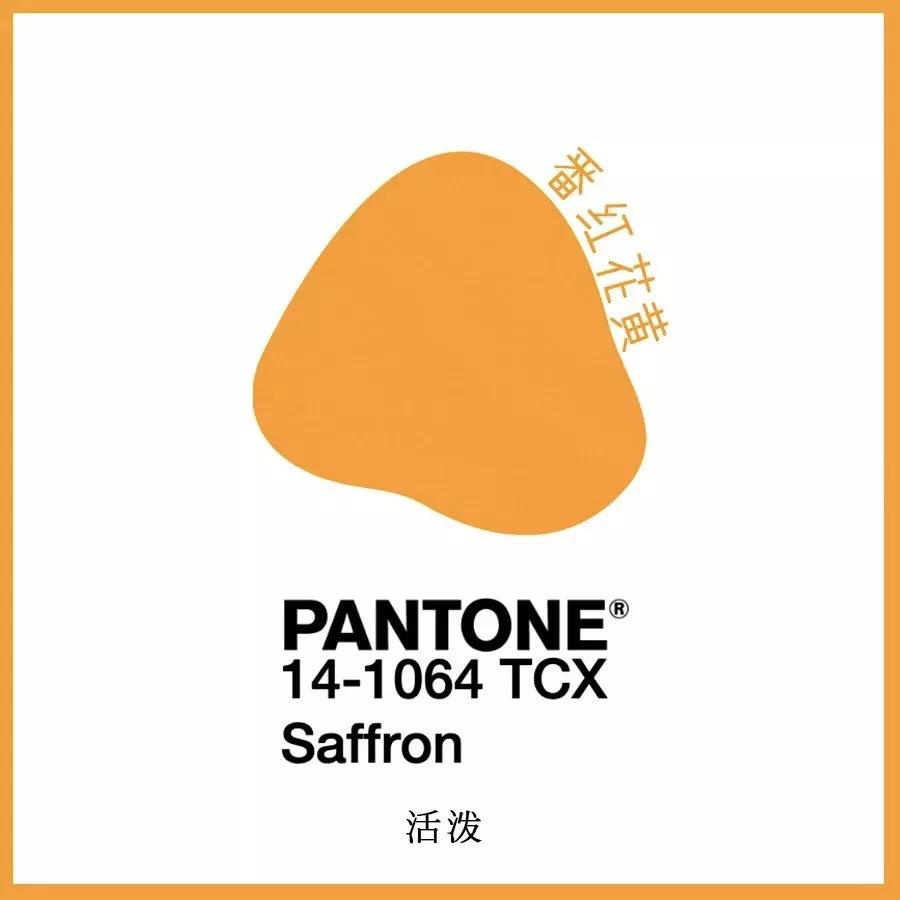 矮个子女生穿什么运动鞋好看,女生百搭运动鞋高级感