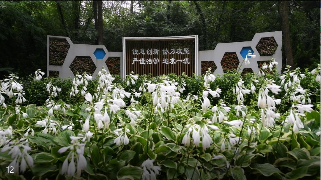 中科院大连化物所固态锂硫电池,中科院大连化物所材料与化工