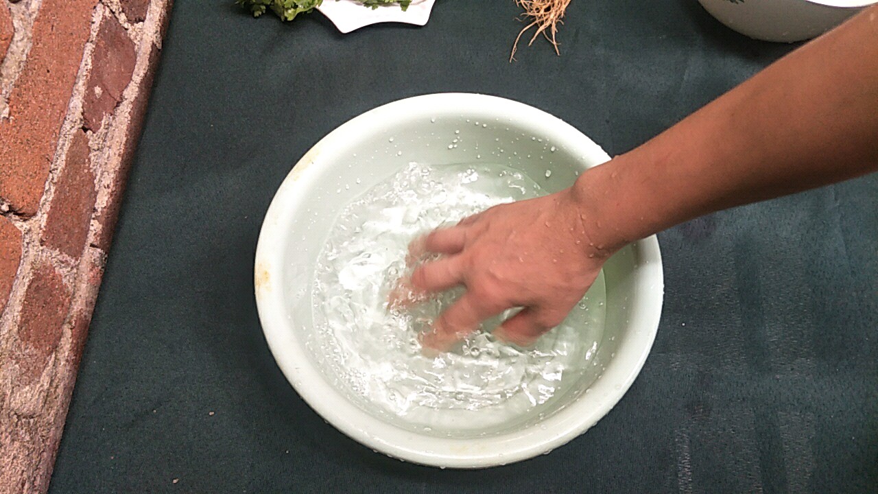 蔬菜发蔫,用这一招绝了,蔬菜立马变得新鲜有活力,赶紧回家试试