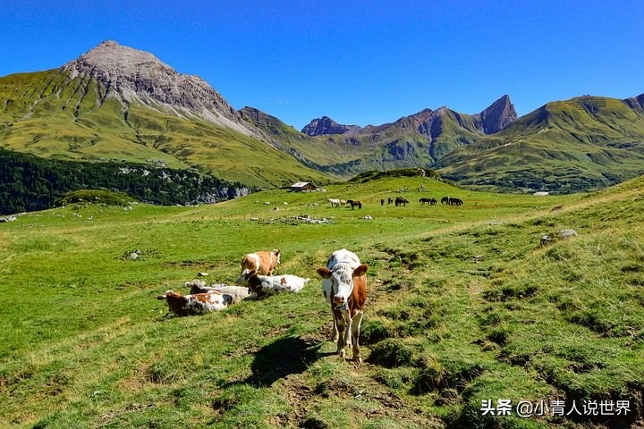 奥地利农村真实生活,奥地利的生活环境