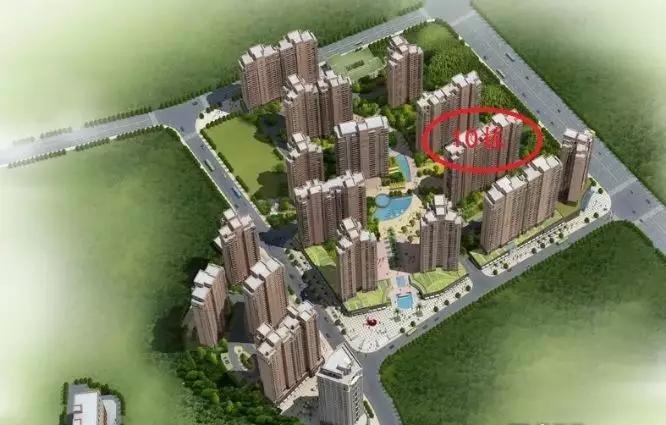 千年老树开新花,千年老树开红花