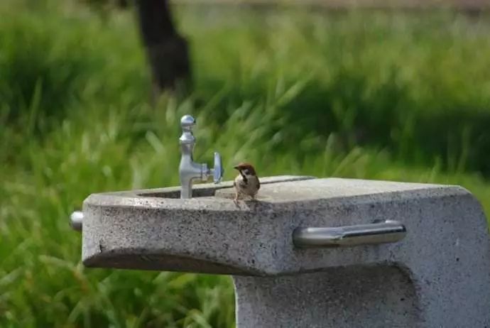 10个秘诀日本人长寿全球第一,日本人长寿的秘诀是什么视频