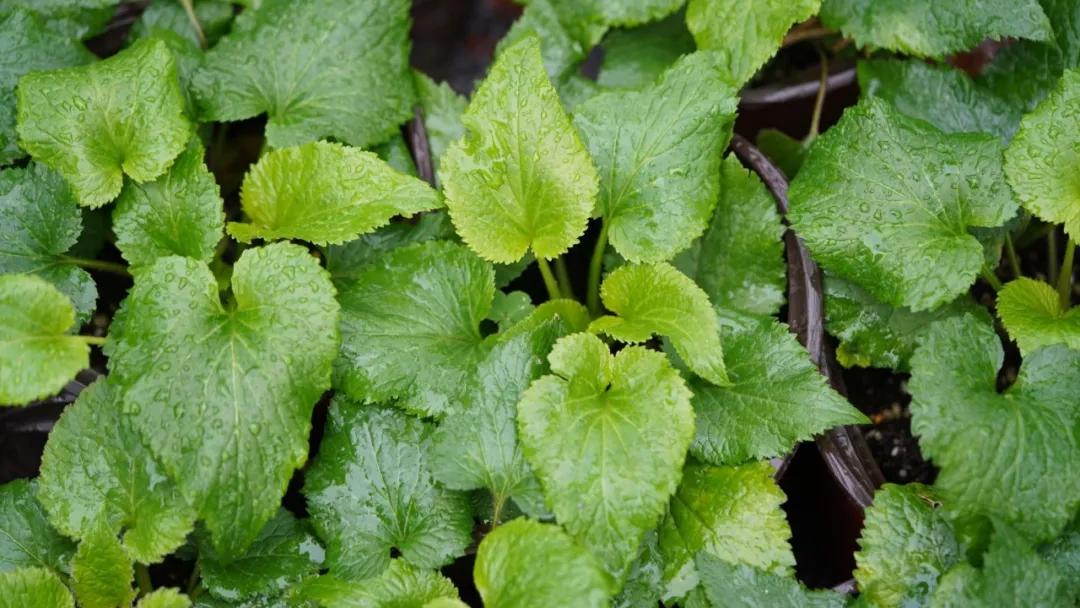 做好这三点你才能成事,做好这三点淡斑效果翻倍