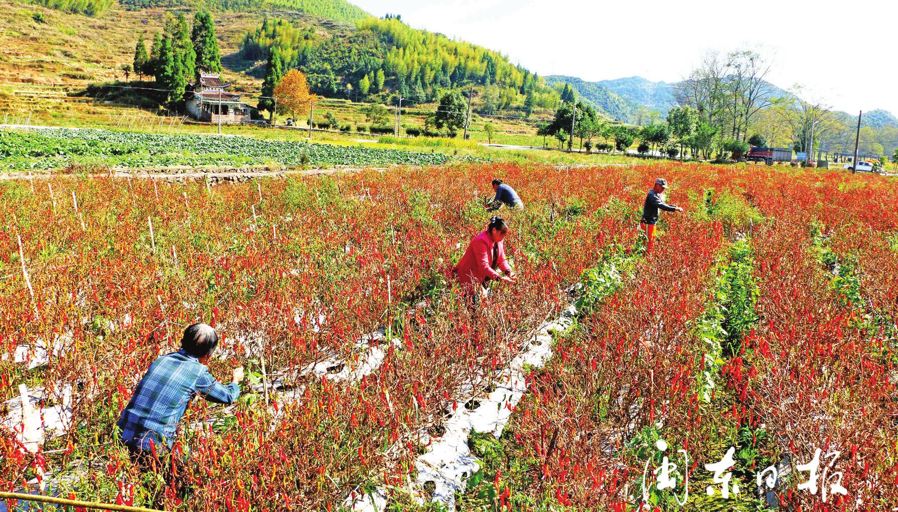 绿水青山就是金山银山介绍说明,绿水青山就是金山银山将乐
