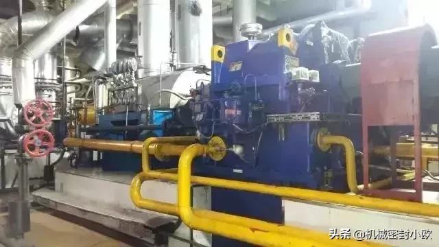 最先进发电厂,国内最大的十大电厂