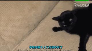 手机掉水里最快的方法,手机掉水里了黑屏了应该怎么处理