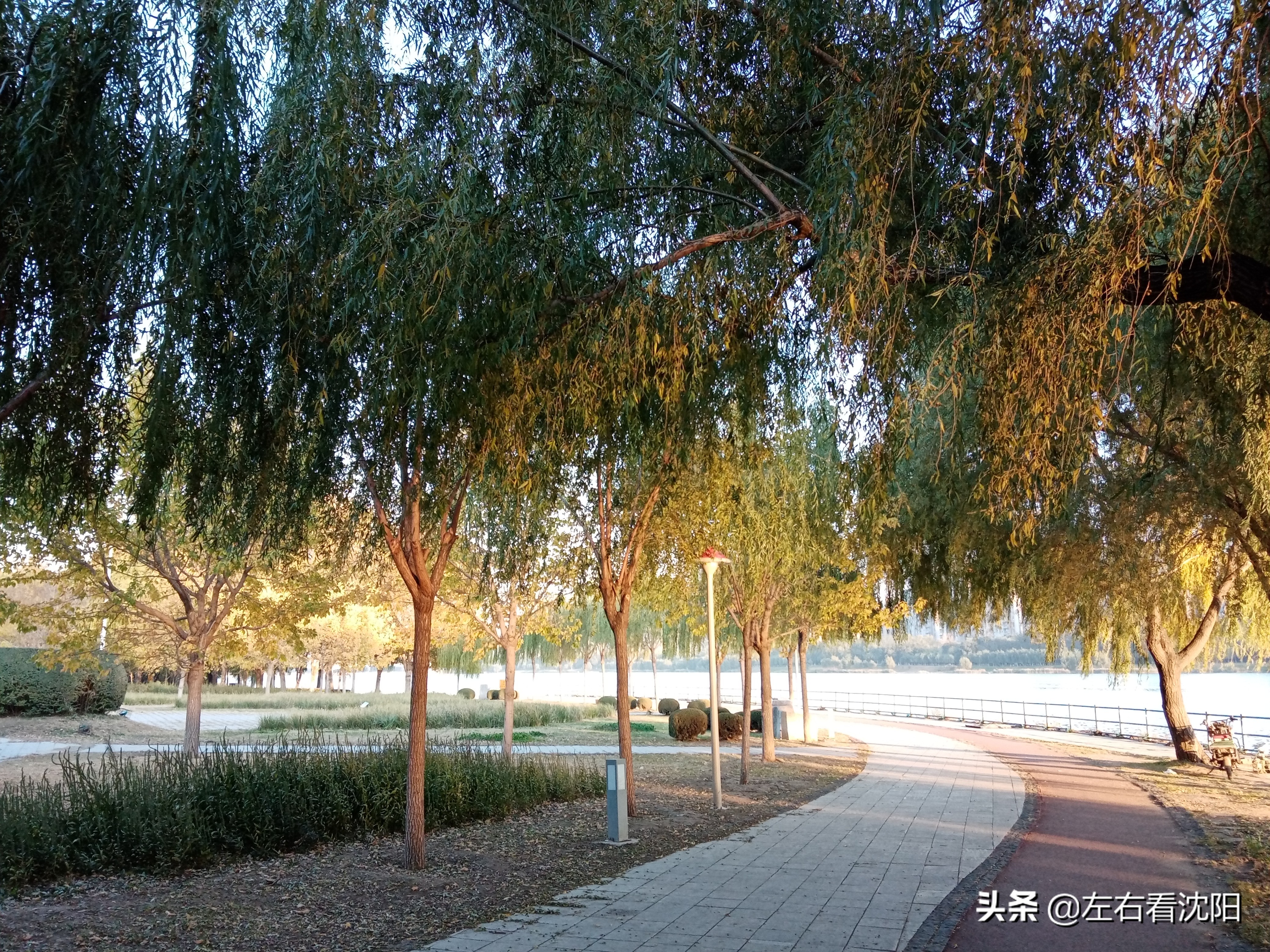 沈阳五里河公园攻略,沈阳五里河公园现在开吗