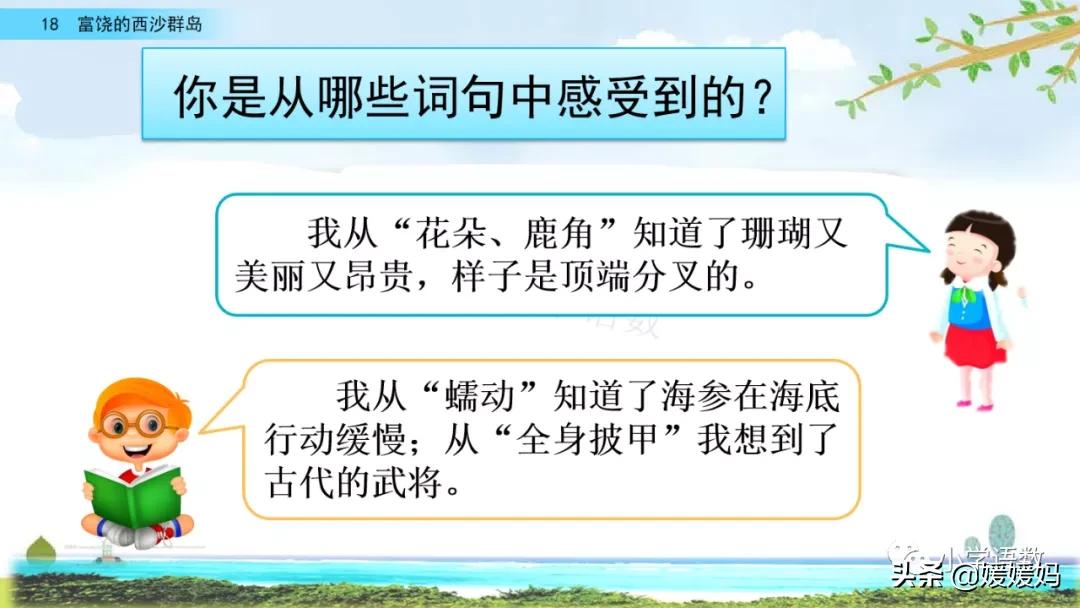 三年级第18课富饶的西沙群岛视频,三年级上册18富饶的西沙群岛笔记