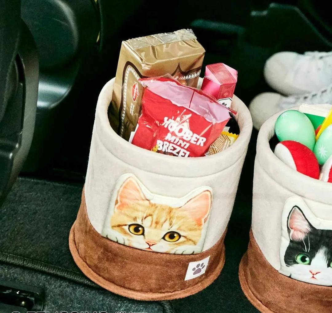 日本人又来骗猫奴们的钱啦！但我心甘情愿掏钱了！