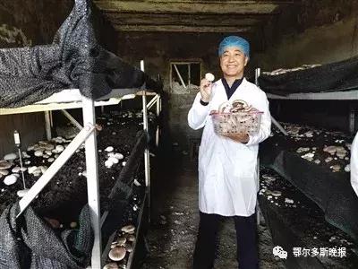 看乌定补拉格村第一书记如何用“小蘑菇”撑起“致富伞”！