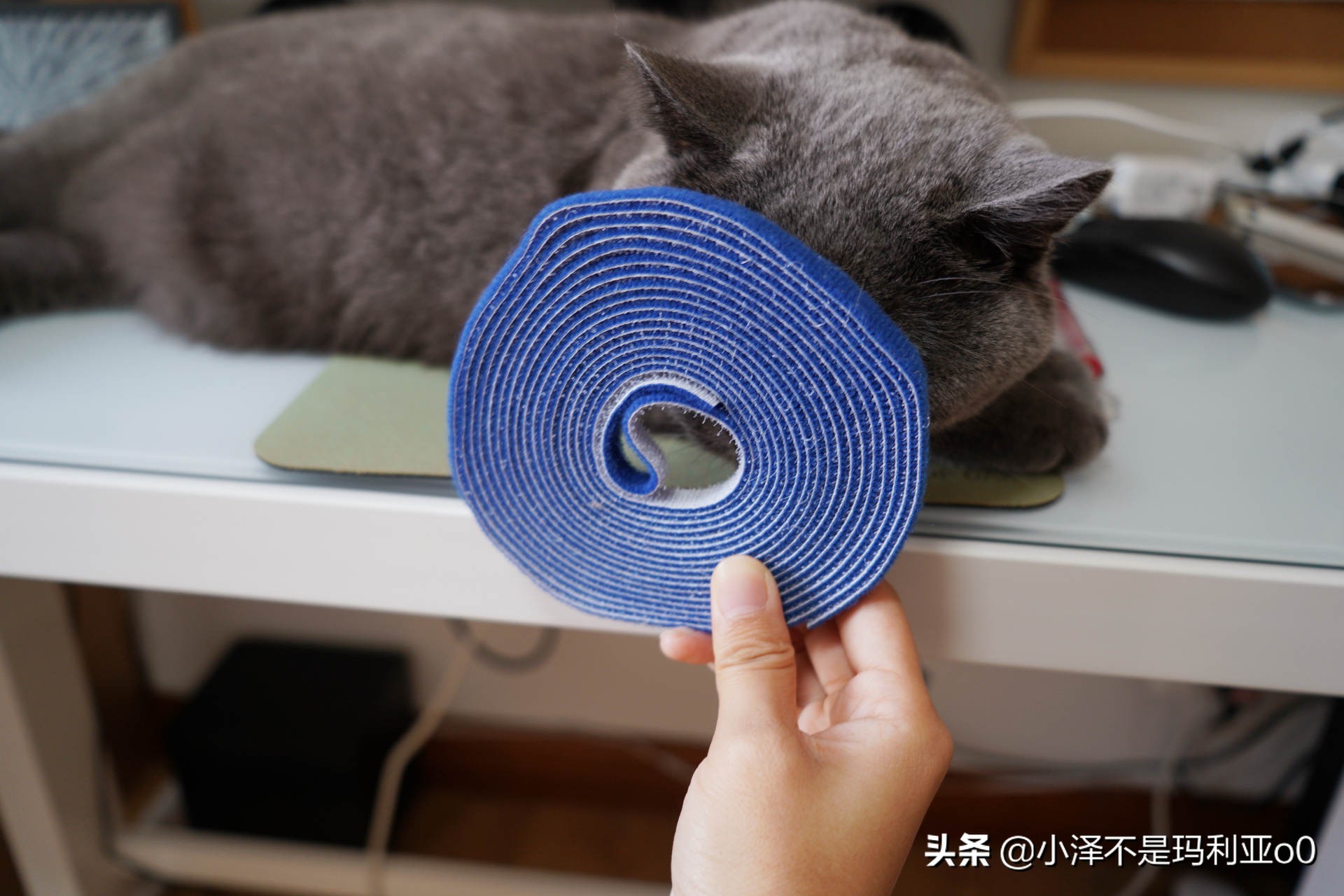 沉浸式整理书桌大改造不用收纳盒,桌面收纳整理神器省钱