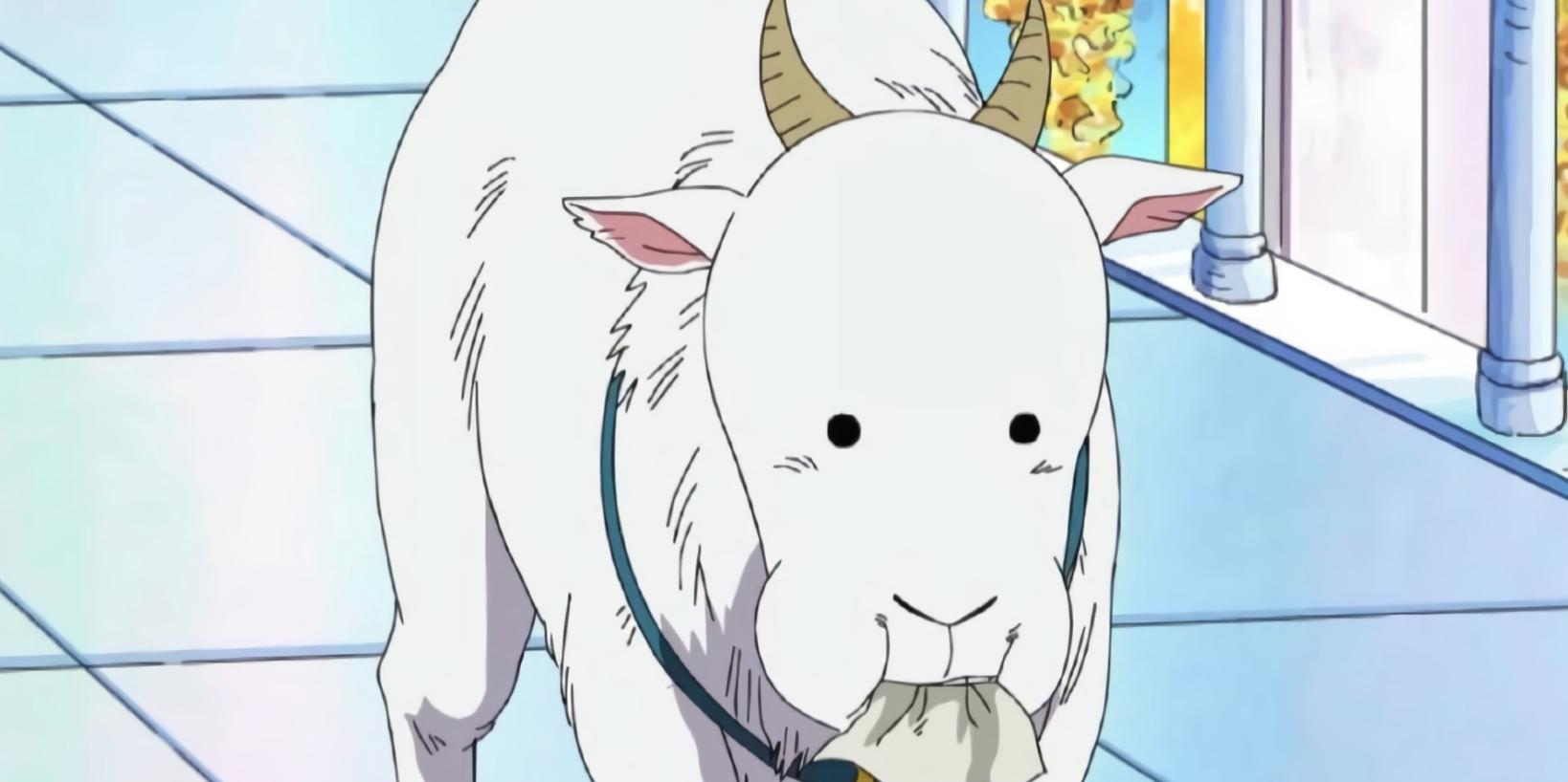 海贼王四位海军大将,海贼王团宠乔巴罗宾