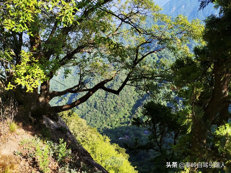 秦岭终南山南五台景区云雾环绕,秦岭终南山南五台景区游览图
