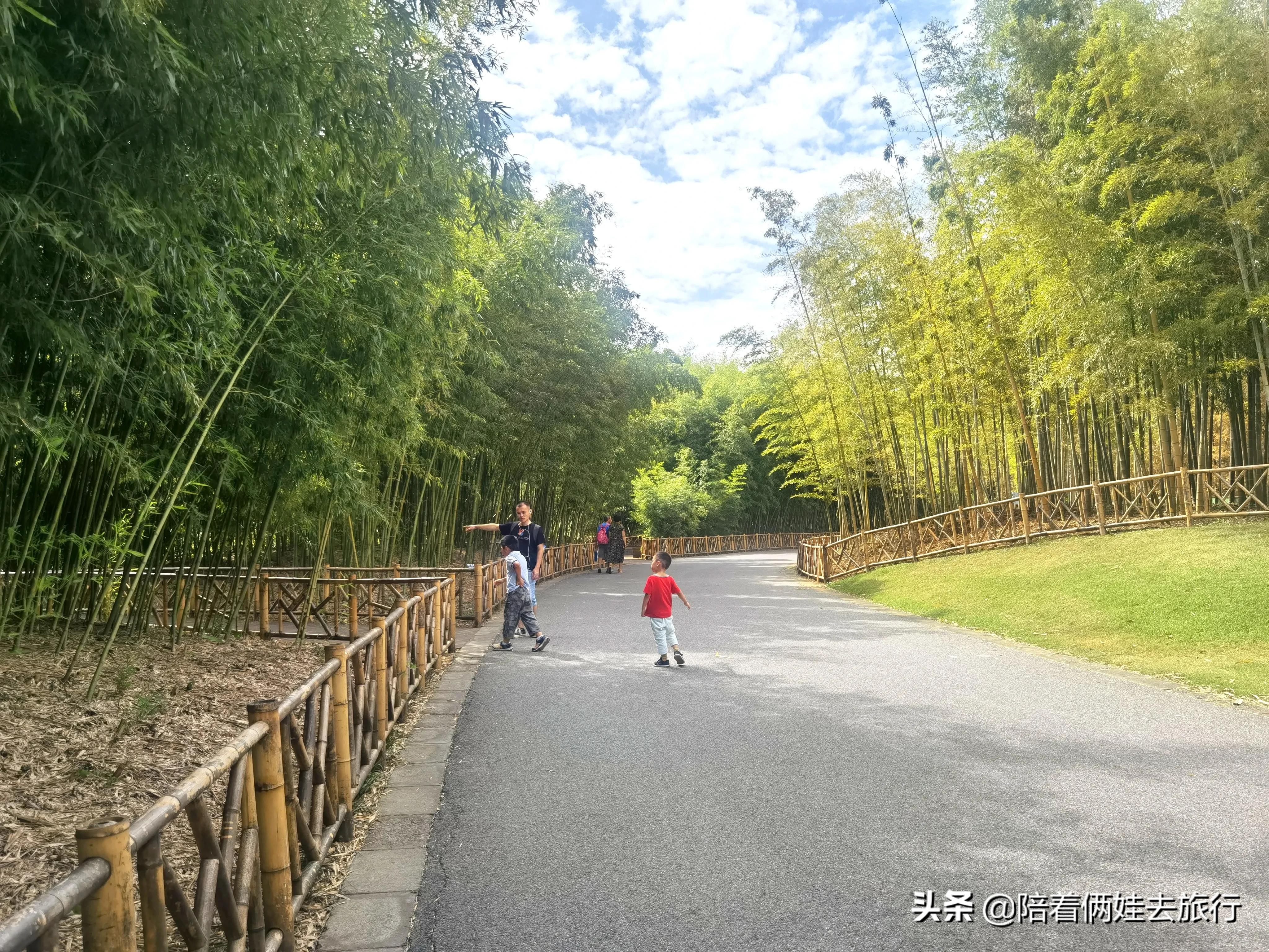 上海辰山植物园矿坑花园,辰山植物园矿坑花园修好了吗