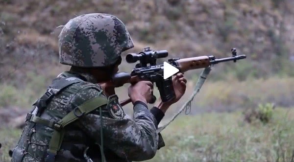 国内装备的精确射手步枪,中国下一代精确射手步枪