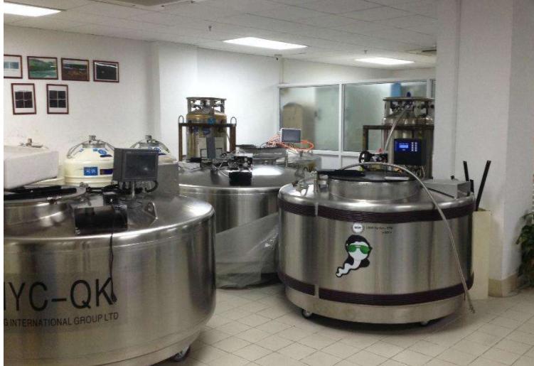 狗狗为什么人工授精,什么叫人工授精狗狗