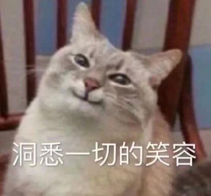 表情包大全可爱简单,可爱表情包我就是个不争气的东西