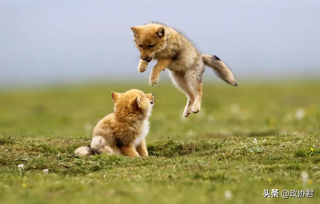 这位老*党**员镜头下的青海，美出天际