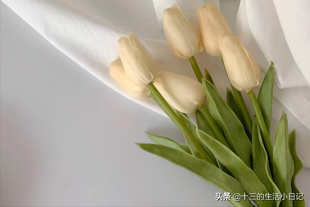 520大部分都送什么样的花束,520花束内容不表达爱意