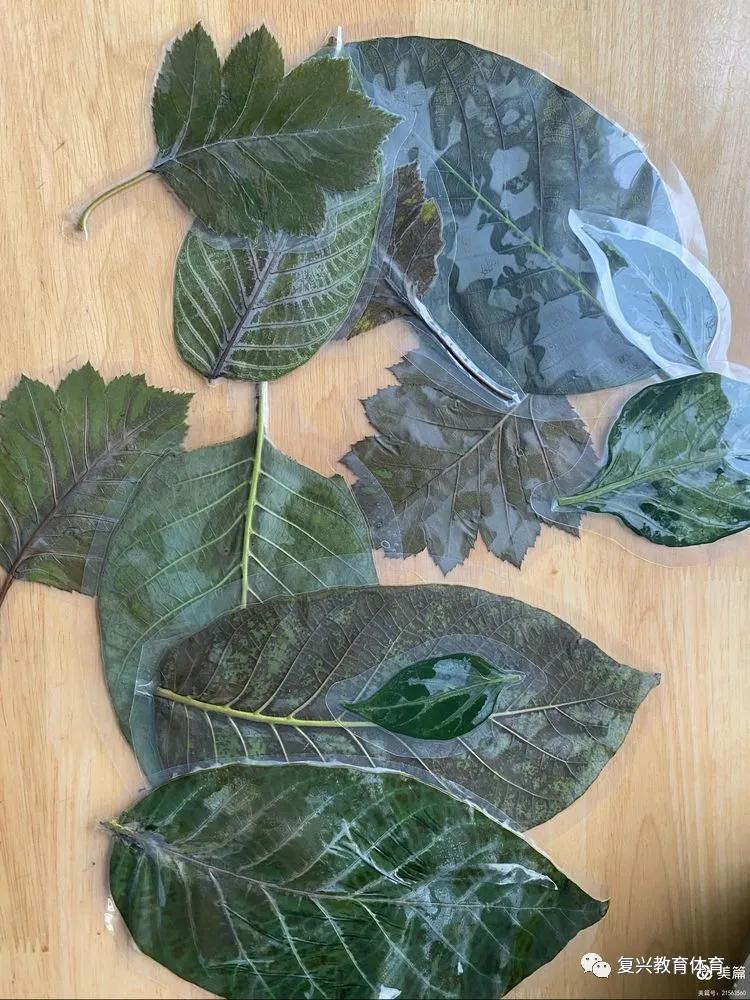 邯郸复兴区第一幼儿园环境,邯郸复兴区第一幼儿园是公立的吗