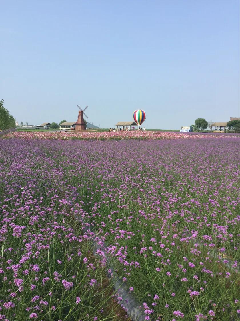 春的序曲洞庭西山,洞庭西山作品顺序