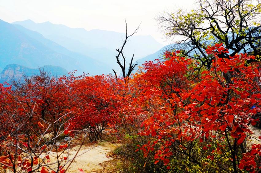 北京赏秋十大打卡地,北京赏秋