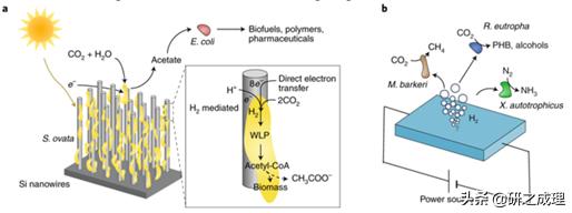 催化周报：10篇子刊，14篇Angew,你想要的前沿都在这里