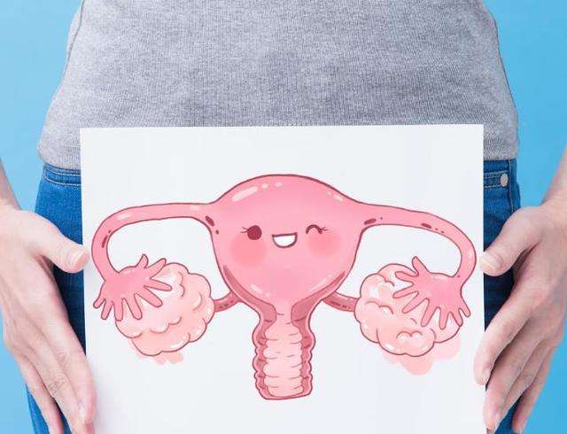 排卵期可以按压输卵管吗,排卵期能摸手吗