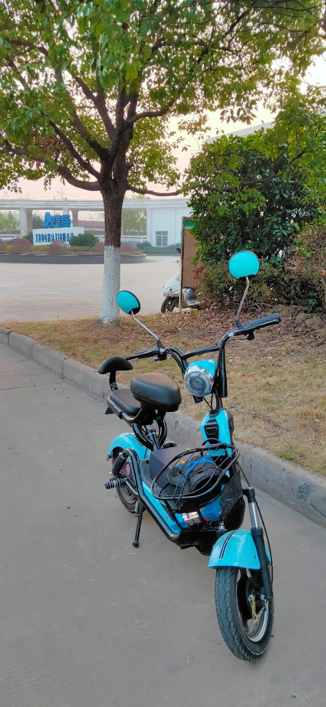 6年的电动车电瓶是不是该换了,电动车电瓶一年多就亏电需要换吗