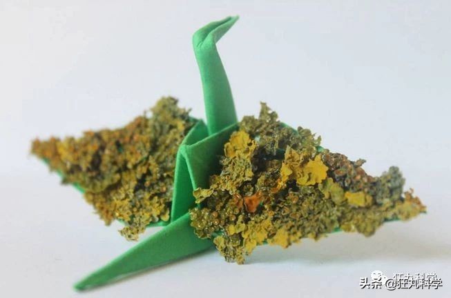 10种纸鹤折法,一天折50个千纸鹤