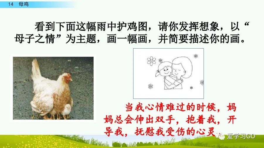 四年级下册语文母鸡课文重点讲解,四年级下册语文14课母鸡重点知识