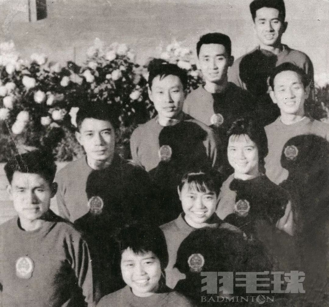 羽毛球教练王文教 (羽毛球王文教)