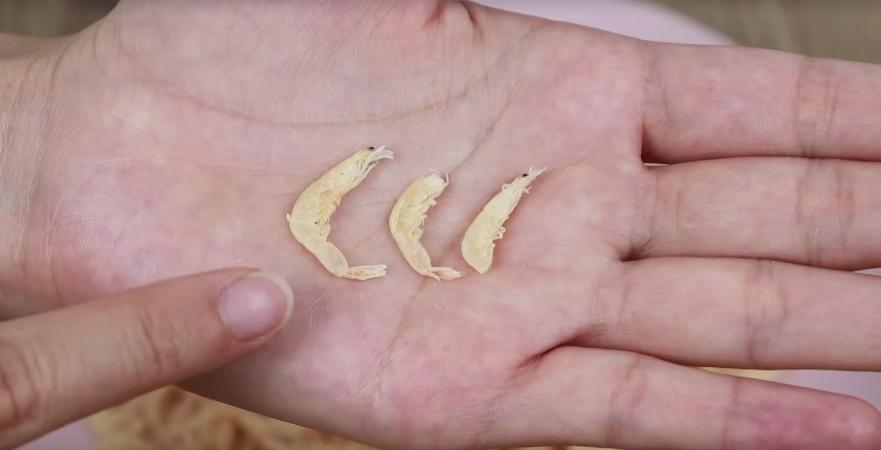 家里喜欢买虾米吃吗?热心渔民偷偷告诉我,好坏这样分,涨知识了