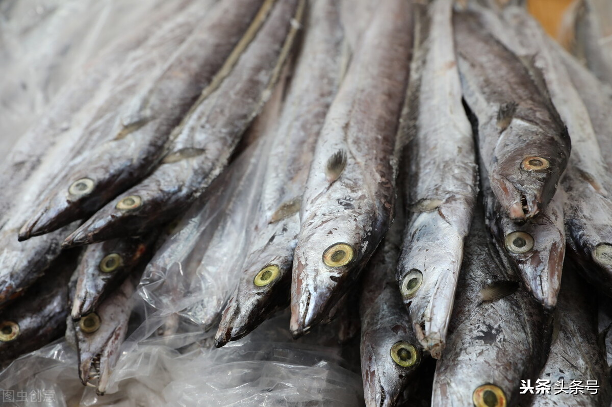 司机被迫吃生带鱼考验我们有关方面怎样把好事情办好