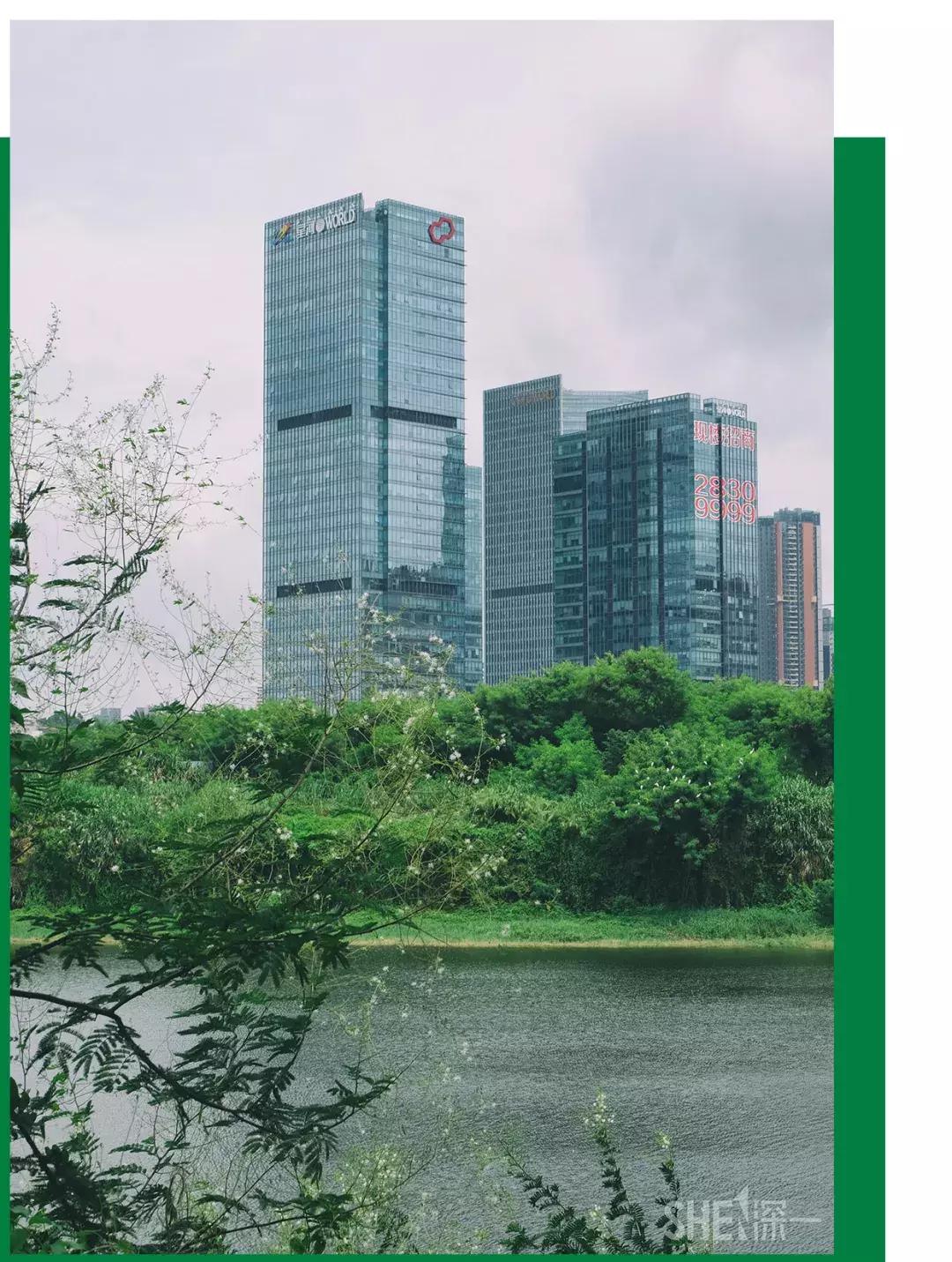 深圳市美美美,深圳最美免费水库