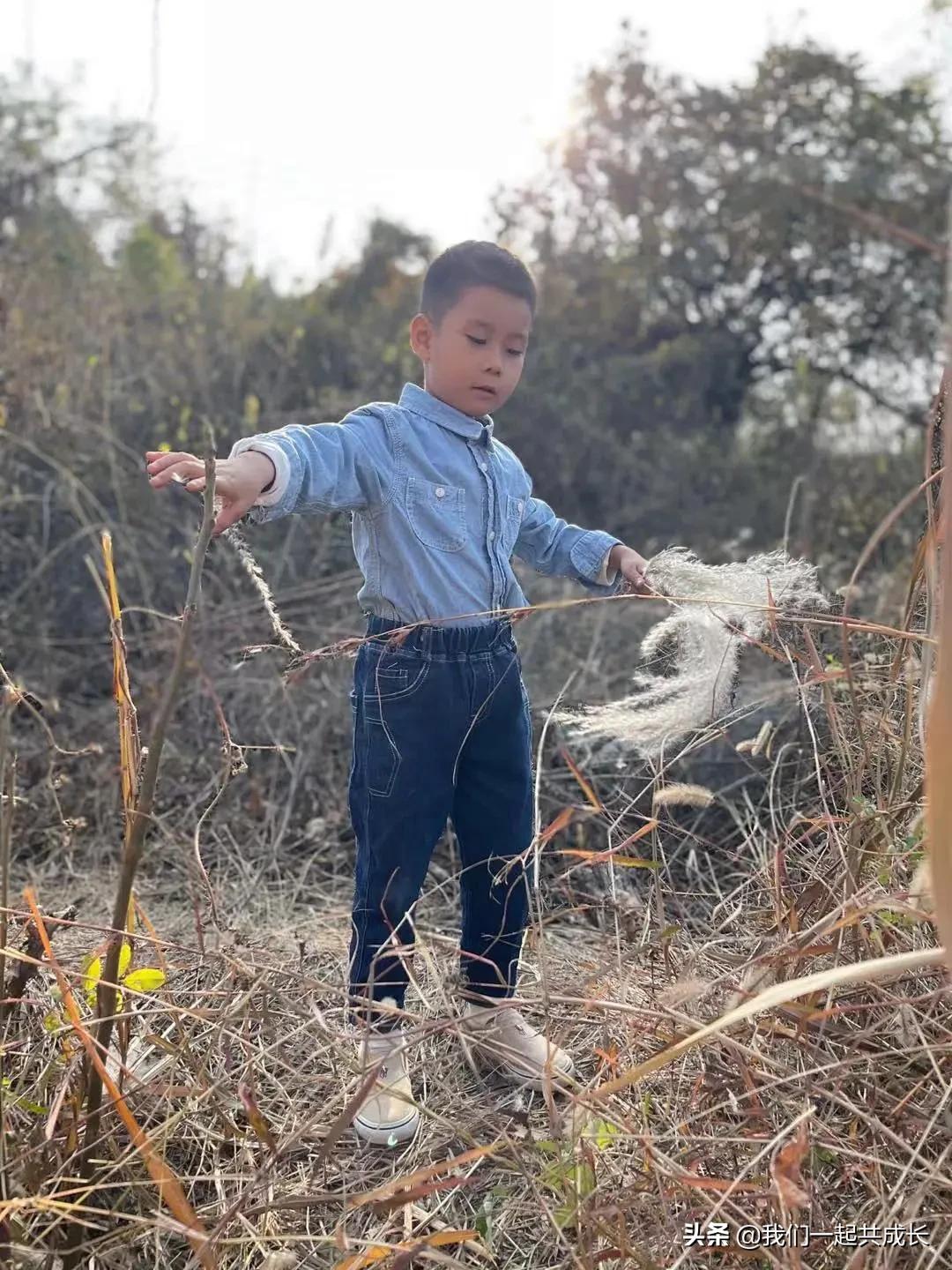 寻一抹秋色，遇一片美好：济南市启明星幼儿园的秋之美