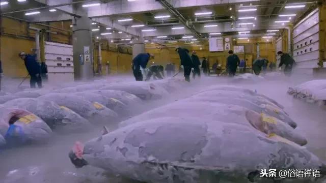 就想吃个海鲜，怎么还分冷冻、急冻、生冻、熟冻、船冻、岸冻？！