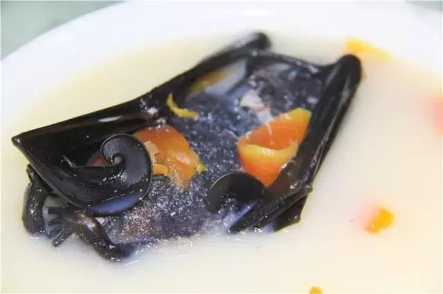 对帕劳之行的感悟,帕劳一场诗和远方的旅行